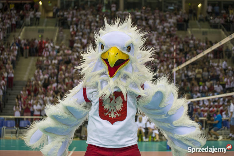 Liga Światowa siatkówka Polska USA KRAKÓW Siatkówka Kraków sprzedam