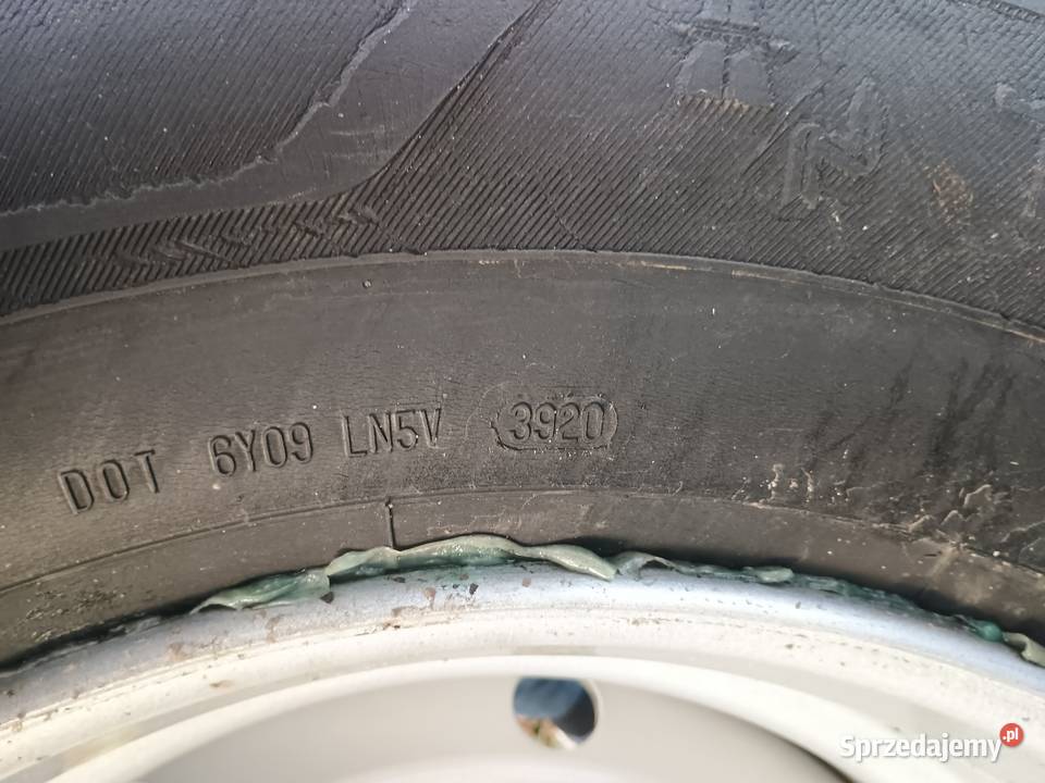Koła do przyczepy Hl HW 8 otworów 38555R225 Bielawy