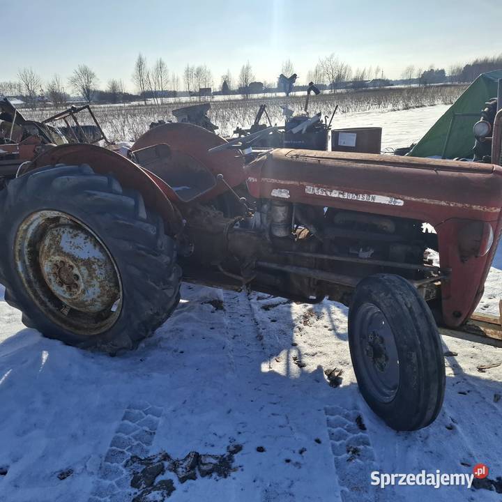 Ferguson 35 mazowieckie Grabów nad Wisłą