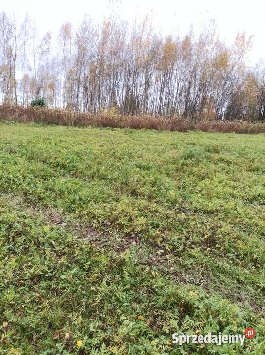 Sprzedam działkę w Hermanowej 20a Hermanowa