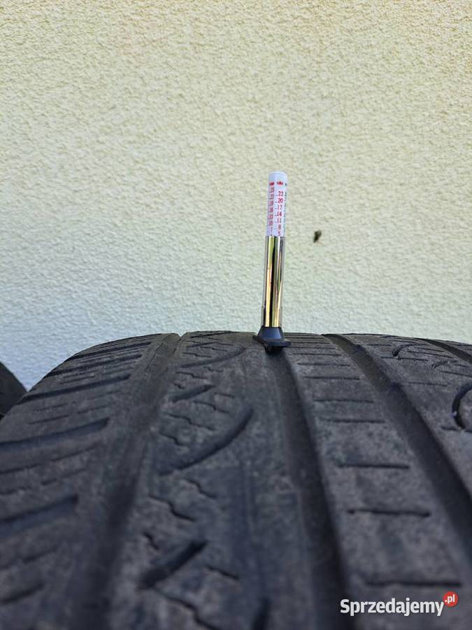 Opony dolnośląskie Ścinawa Polska