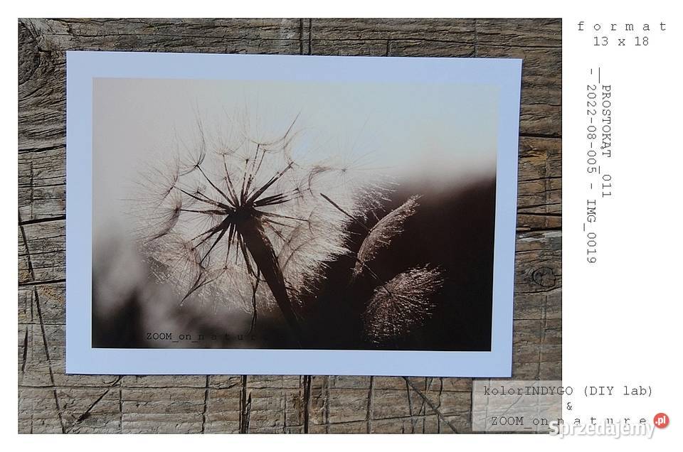 ZDJĘCIA przyrodnicze czII Witnica