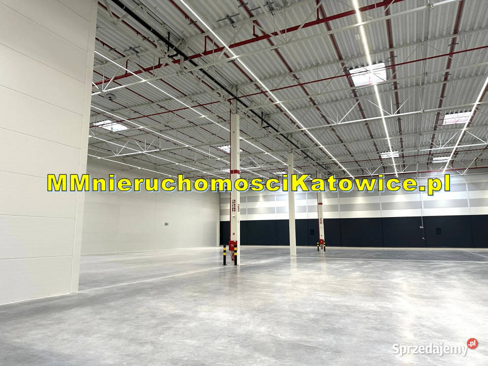 Magazyny do wynajęcia śląskie Mysłowice A4 iS1