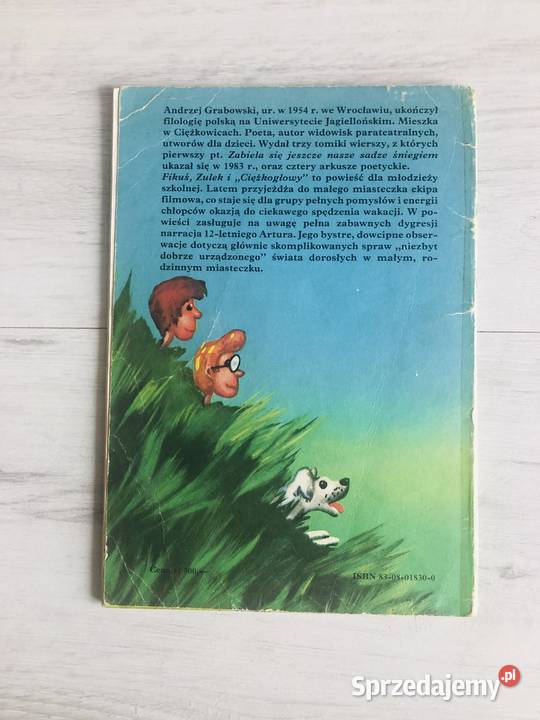 Książka Fikuś Zulek i Ciężkogłowy Andrzej Łódź