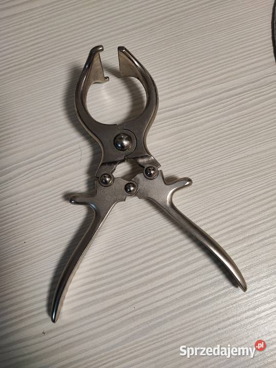 Kleszcze kastracyjny jagniąt