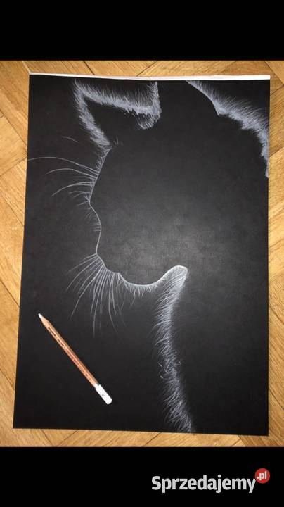 Rysunek kota na czarnym papierze format A3 Radzymin