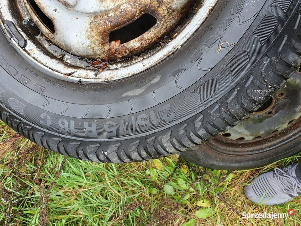 Koło continental vanco2 Pułtusk