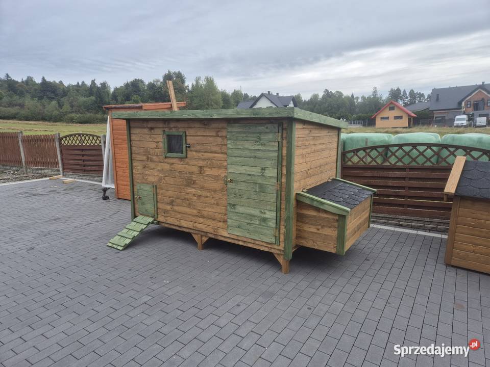 Kuurnik kur Jordanów