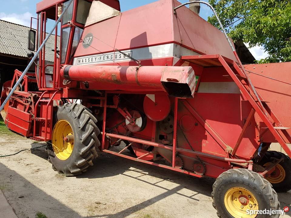 Kombajn Massey Ferguson 187 Massey Ferguson Wirkowice Drugie