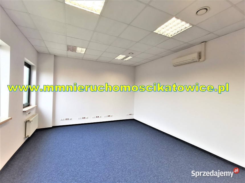 Powierzchnie magazynowe 200 do 10000 m2 do 1000m2 Sosnowiec