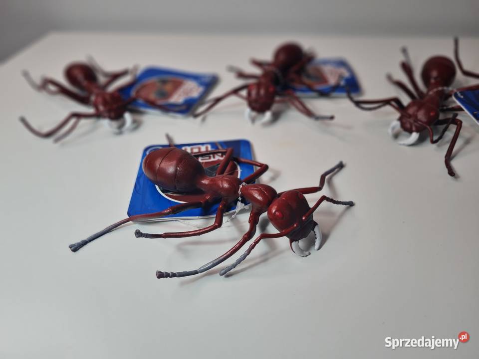 Insect toy mrówka 12 Krasne-Lasocice