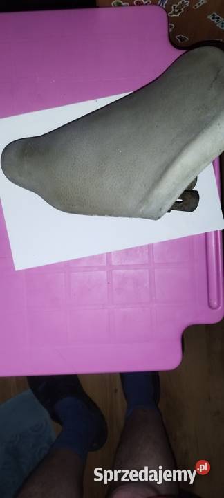 Siedzenie do sztywniaka Lwówek Śląski