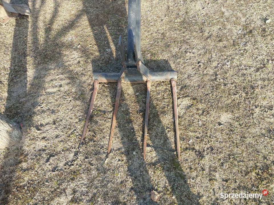 Sprzedam tura Ślesin