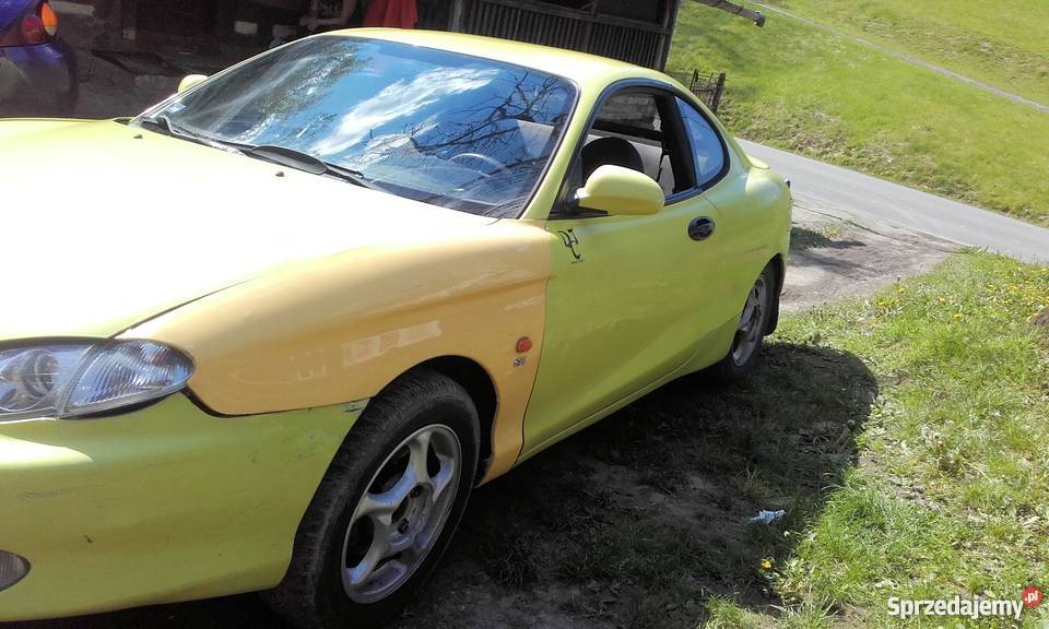 Hyundai Coupe Zator