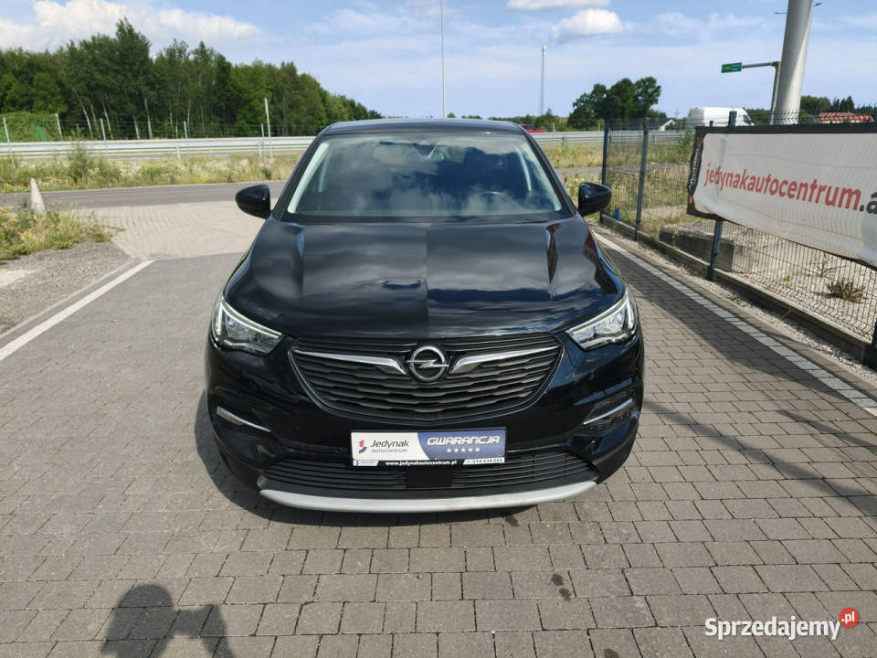 Opel Grandland X kurtyny powietrzne mazowieckie