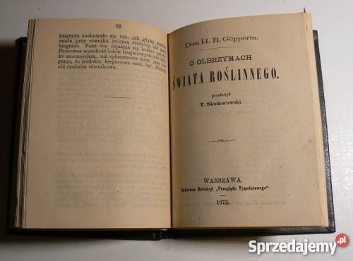 Epoka lodowa Ziemii Aleksander Braun 1873 r Warszawa sprzedam