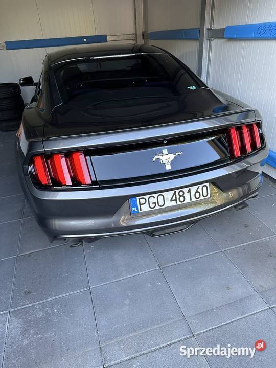 Ford mustang 37 305 Mustang Zdrój
