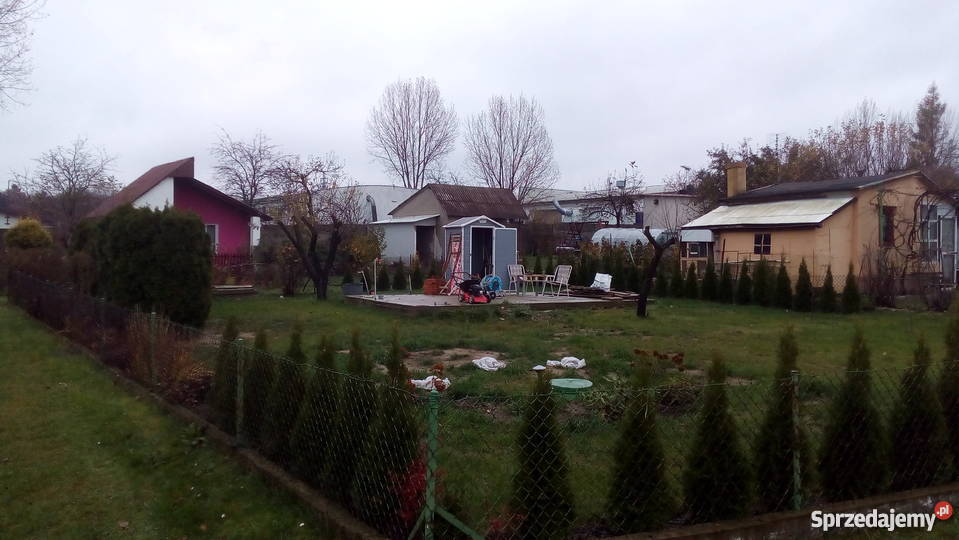 Sprzedam ogródek działkowy na ogrodzie Stokrotka rekreacyjna Piotrków Trybunalski