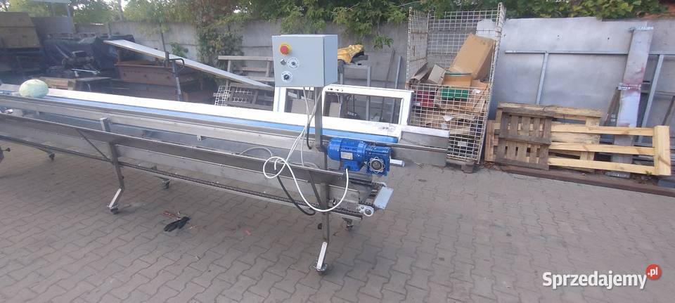 Taśmociąg do kapusty z przenośnikiem do odbioru Rumiejki sprzedam