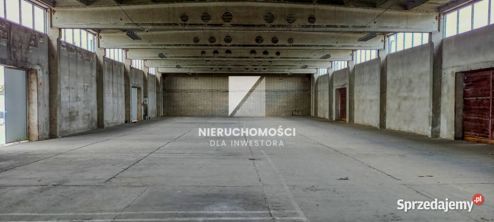 Hala magazynowa 810 m S3 4 bramy rampa Gorzów Wielkopolski