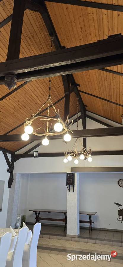 Żyrandole z poroża wielkopolskie Zębowo