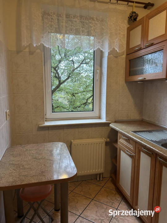 Do wynajmu duza kawalerka w centrum Szczecina Szczecin