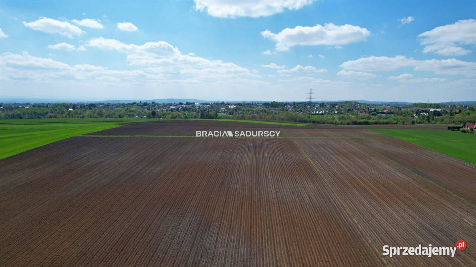 Działka 30420m2 Młodziejowice Sprzedaż małopolskie sprzedam