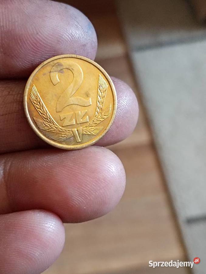 Sprzedam monete 2 zlote 1982 r mosiadz Numizmatyka Chełm