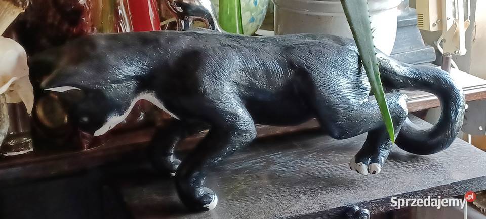 KOT 60 DLUGI twarda żywica poli twardy cięzki Poznań