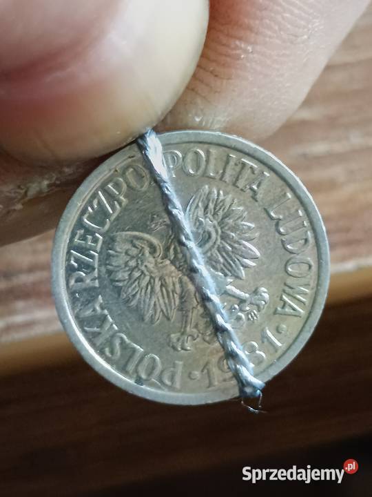 Sprzedam 10 gr 1981 r lekka skretka lubelskie Chełm