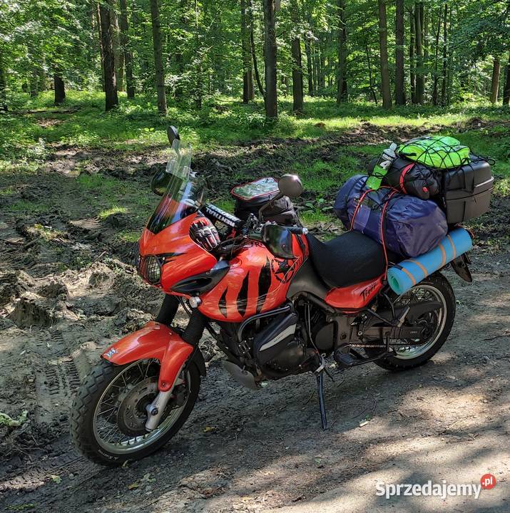 Triumph Tiger 955i 2004 elektryczny starter Tarnowskie Góry