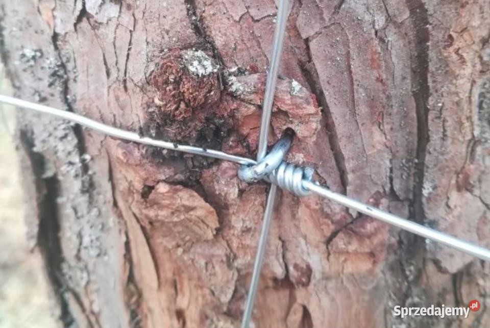 SIATKA ogrodzeniowa LEŚNA 1801360 L rolka 50 m Siatki i panele