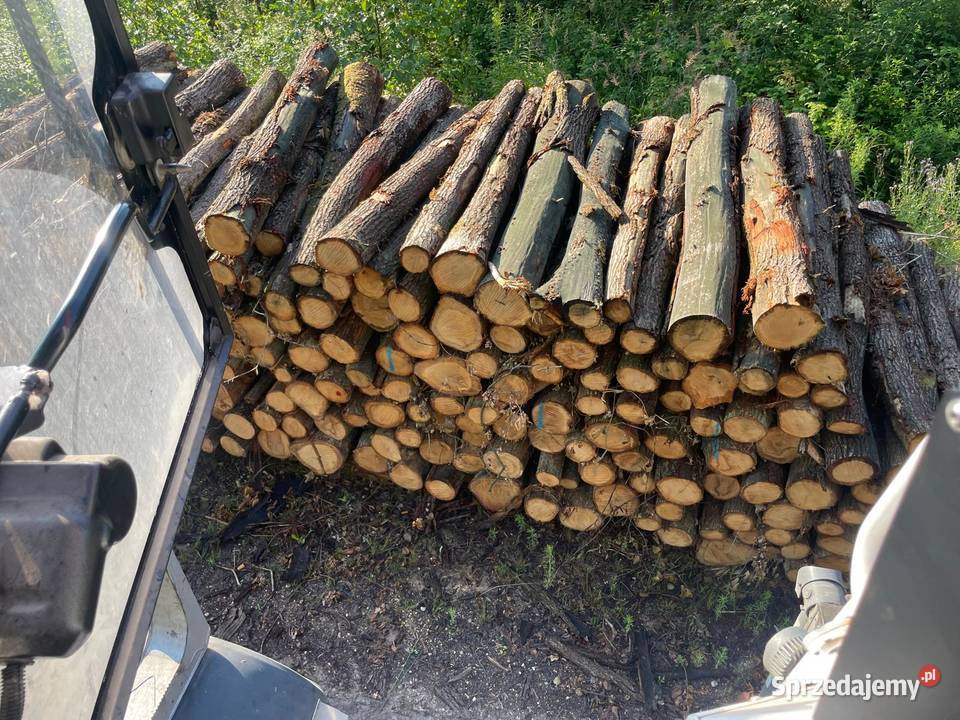 Drewno opał śląskie Wyry