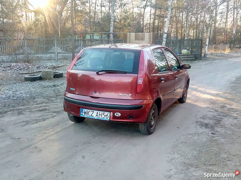 Punciak nieuszkodzony Maciejowice