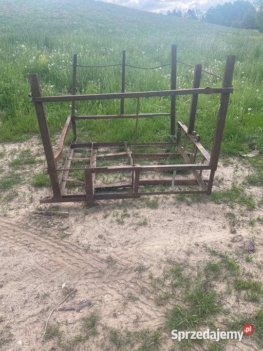 Paśnik do bydła krów cielaków