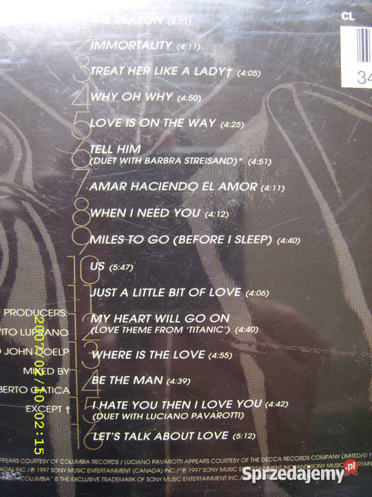 POP CD CELINE DIONLETS TALK ABOUT LOVE 1997 Wołów