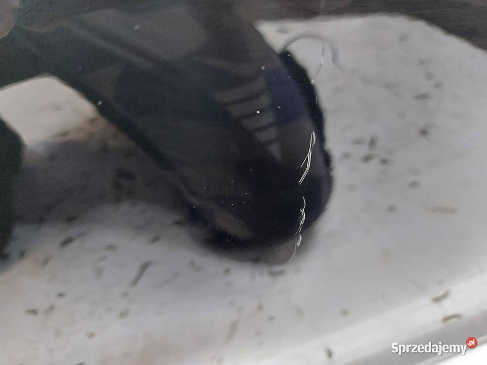 PEUGEOT 508 II Drzwi tył prawe KTVD 2019 sprzedam