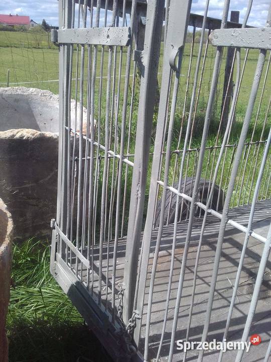 Przyczepka rolnicza do przewozu zwierząt innych Gołdap sprzedam