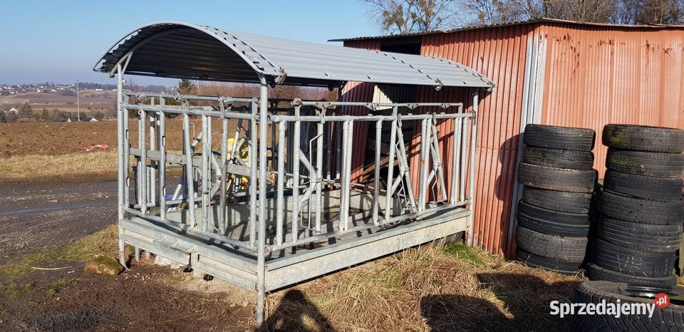 Paśnik łąkowy zatrzaskowy Pozostałe śląskie Bielowicko