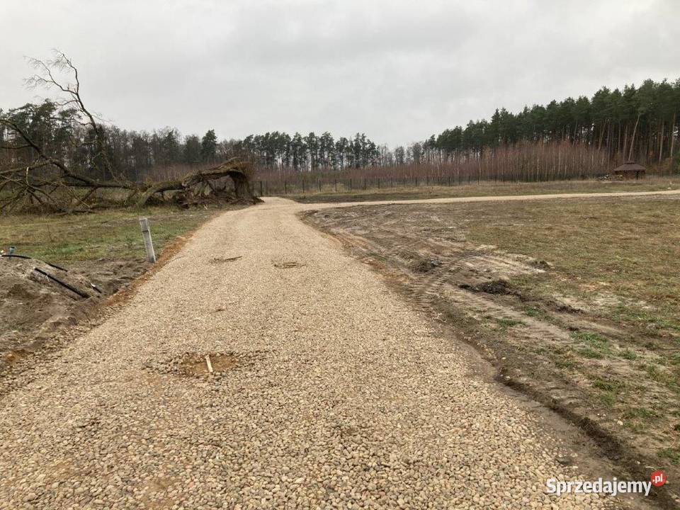 Dz Budowlana na Mazurach 1888 m2 MEDIA Jagodne warmińsko-mazurskie Jagodne Wielkie