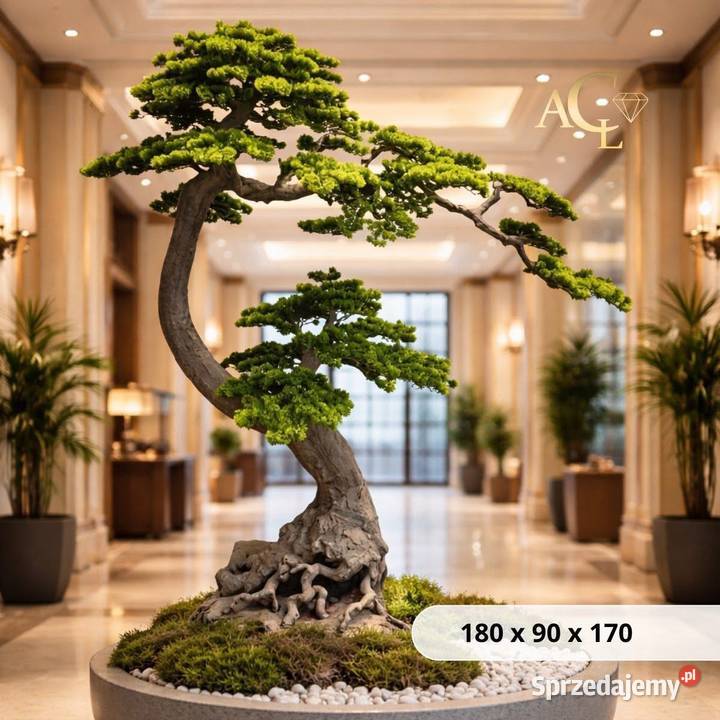 Sztuczne drzewko Bonsai Premium 180x90x170 małopolskie Golkowice