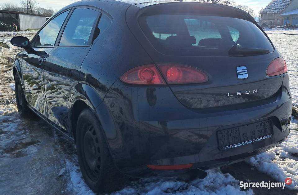 Seat Leon Chojnów