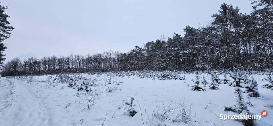 Działka budowlana 1000M2 WZ BRZÓZA mazowieckie Brzóza
