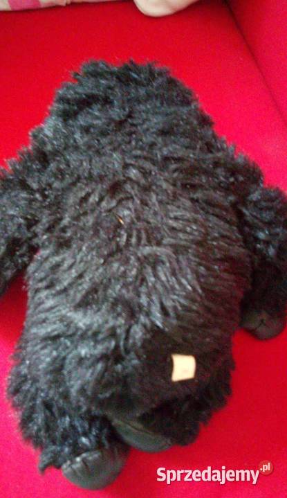 Zabawka maskotka PRL Warszawa sprzedam