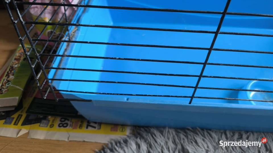 Duża klatka królika innego gryzonia 100 x 50 x Bydgoszcz sprzedam