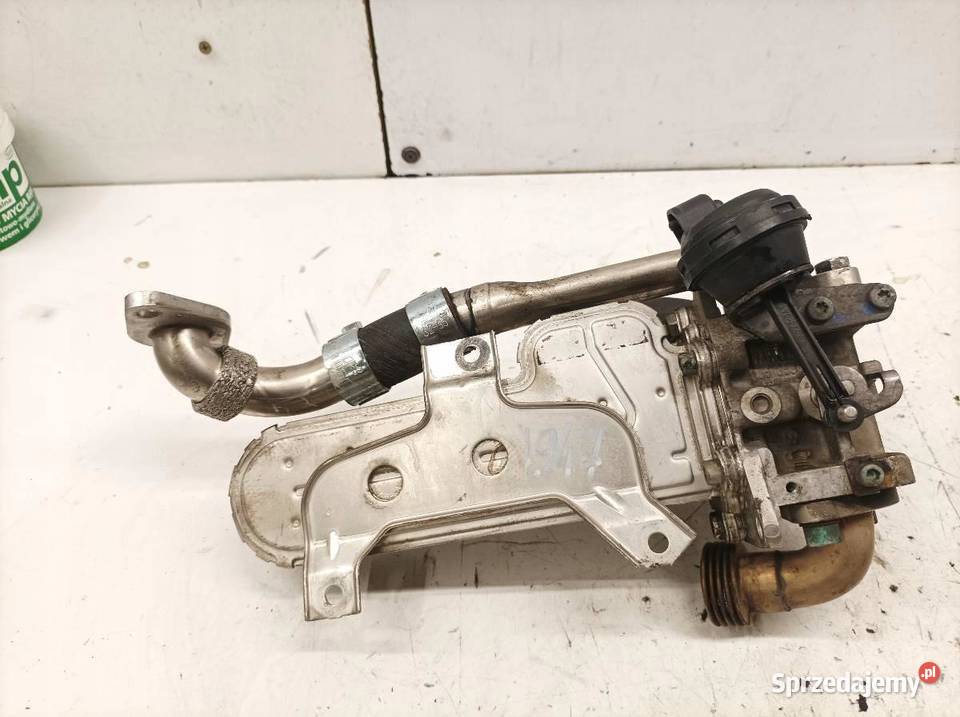 CHŁODNICA SPALIN 038131513D 19 TDI Skoda Octavia