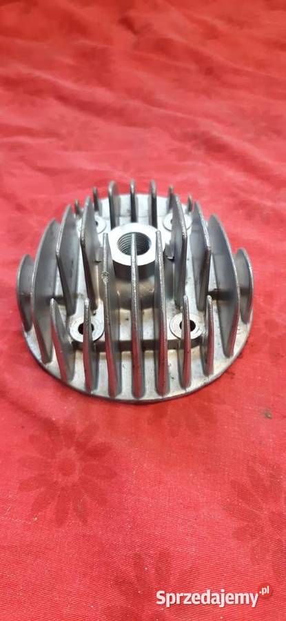 Głowica komar ogar Puławy