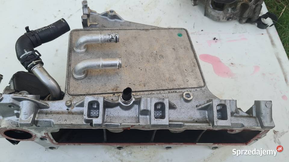 Kolektor dolotowy 16 20 Tdi VW Audi Seat Skoda Kolektory ssące Odolanów