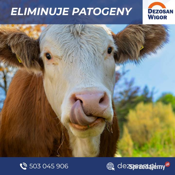 Dezosan Wigor 500 do suchej dezynfekcji ściółki lubelskie Janów Lubelski