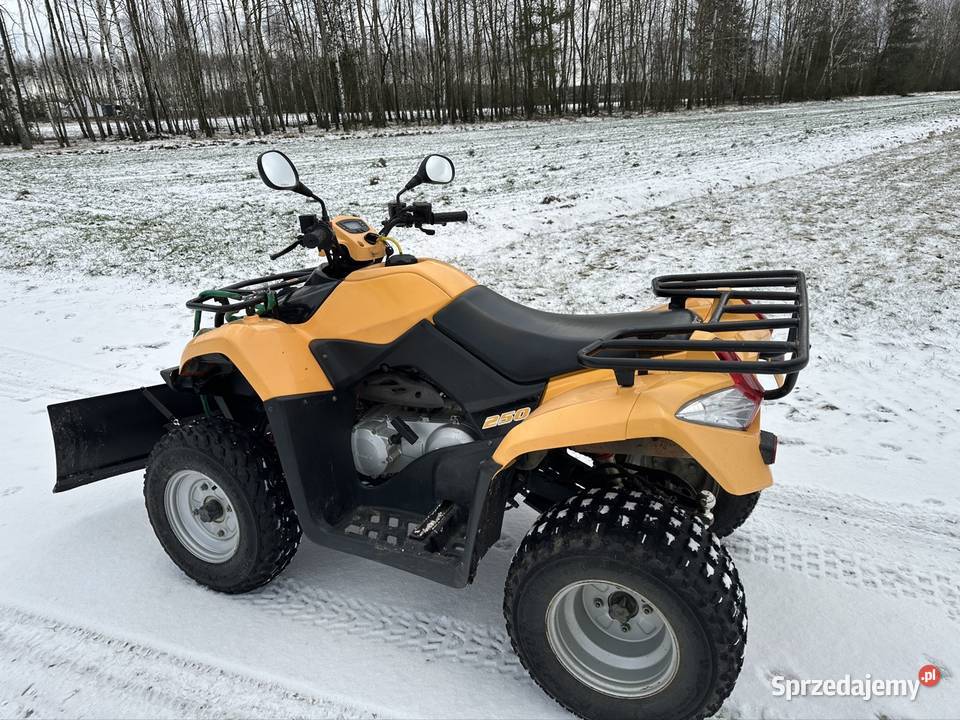 Quad z pługiem Kymco Mxu 250 Mechowiec